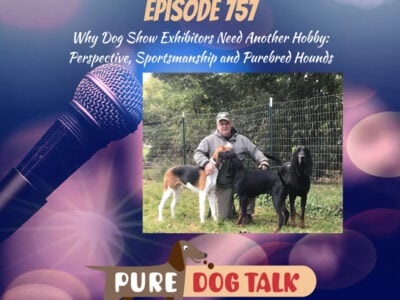 Why Dog Show Exhibitors Need Another Hobby Perspective, Sportsmanship and Purebred Hounds