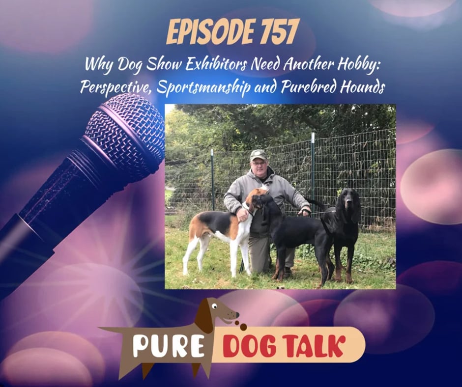Why Dog Show Exhibitors Need Another Hobby Perspective, Sportsmanship and Purebred Hounds
