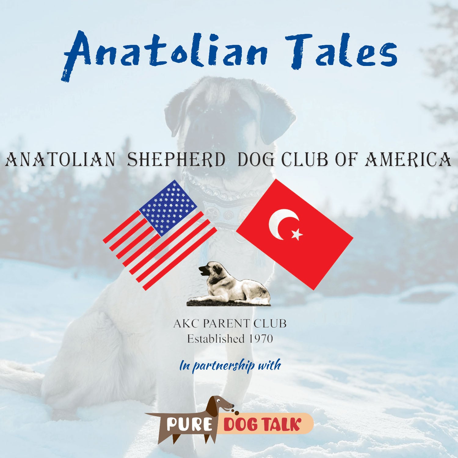 Anatolian Shepherd Tales series artwork