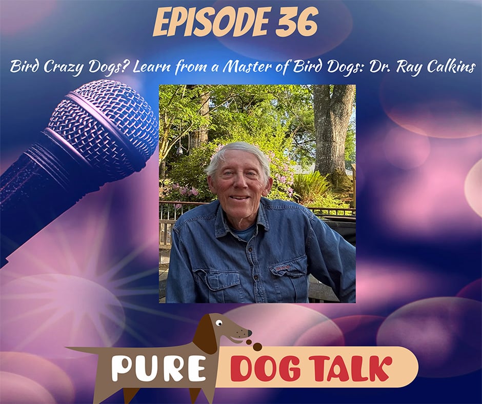 Bird Crazy Dogs Learn from a Master of Bird Dogs Ray Calkins, DVM