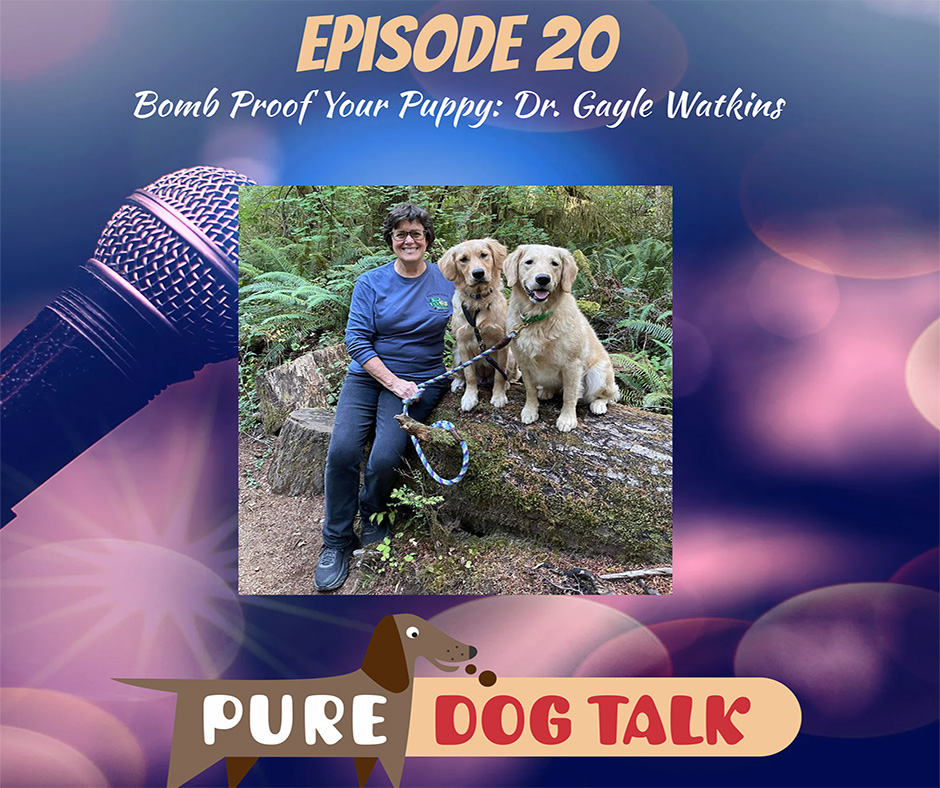 Bomb Proof Your Puppy Dr. Gayle Watkins