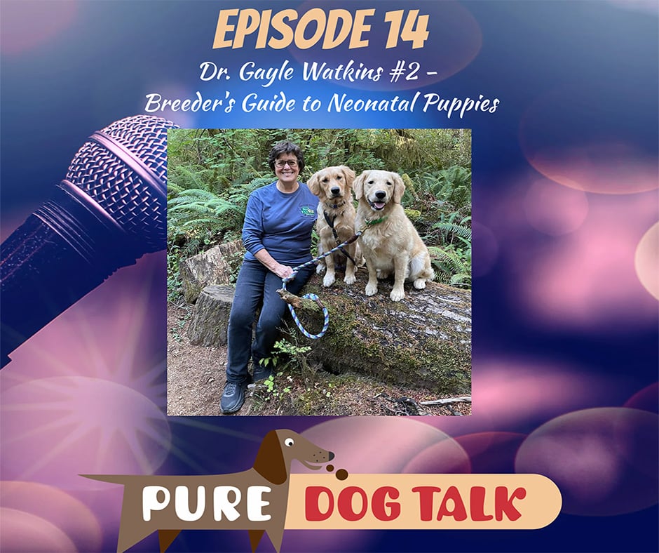 Dr. Gayle Watkins 2 Breeder’s Guide to Neonatal Puppies