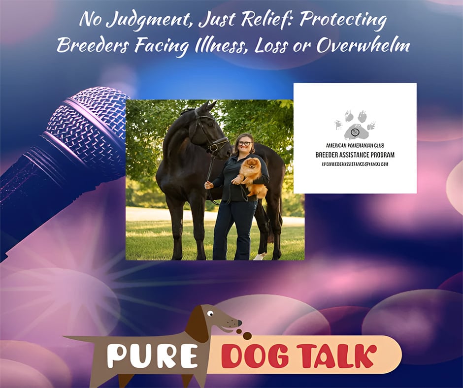 No Judgment, Just Relief Protecting Breeders Facing Illness, Loss or Overwhelm