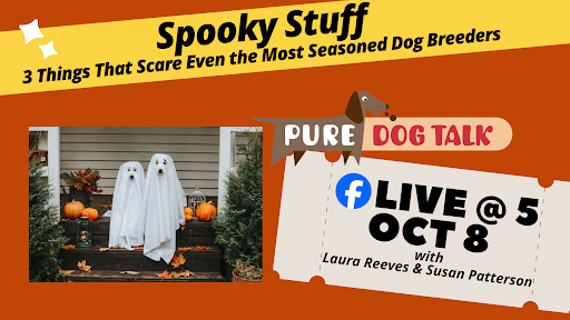 October Live@5