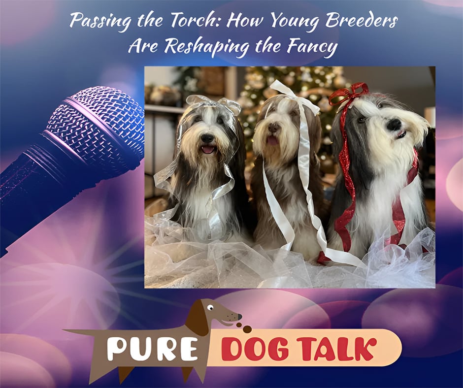 Passing the Torch How Young Breeders Are Reshaping the Fancy