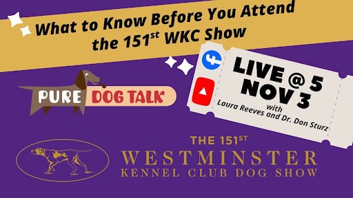 November Live@5